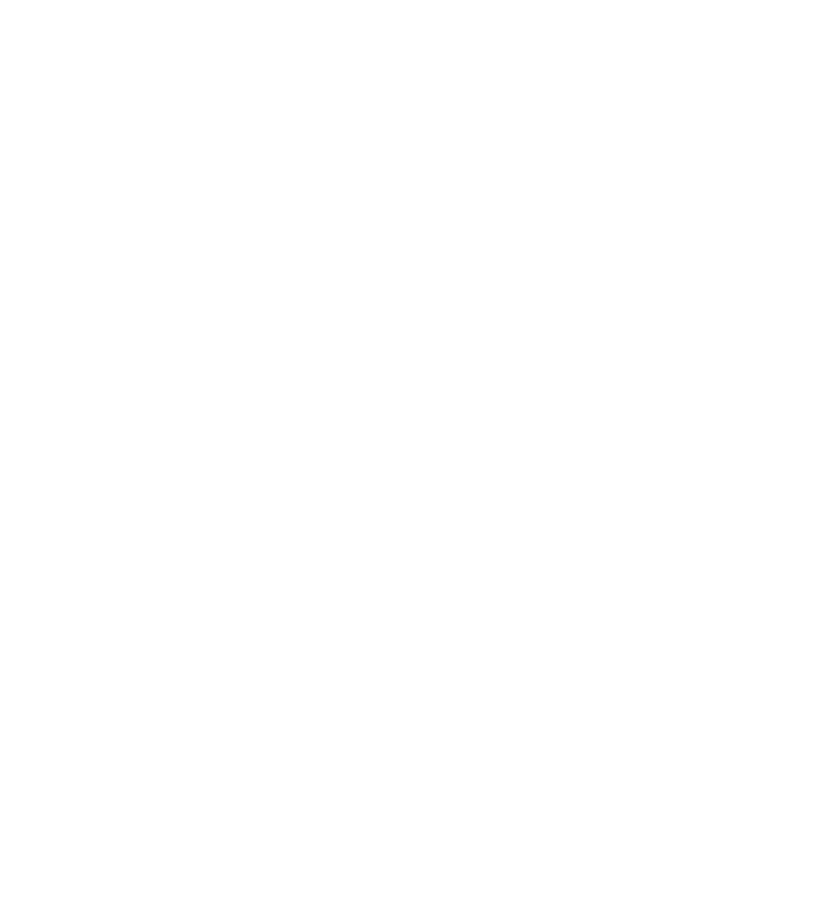 icon3